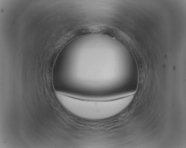 X0000064060317200601270940