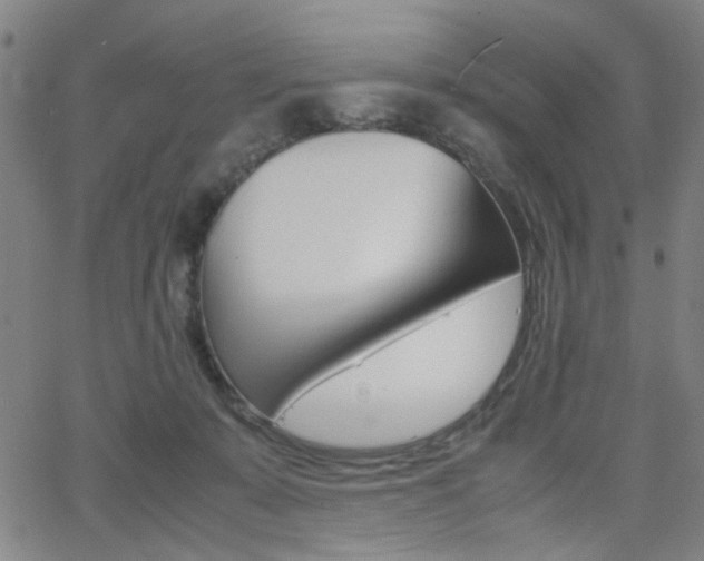 X0000064060319200601270940