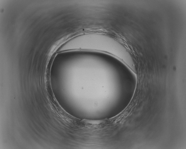 X0000064060340200601270939