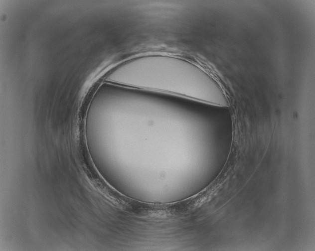X0000064060344200601270939