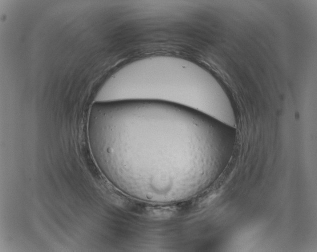 X0000064060359200601270939