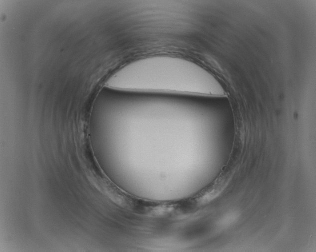 X0000064060366200601270939