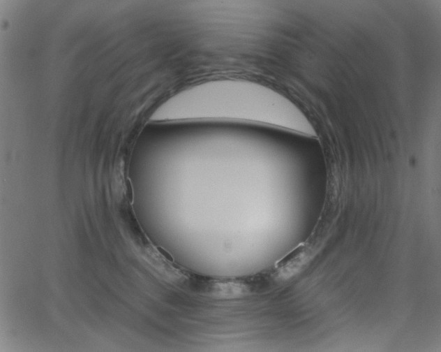 X0000064060376200601270940