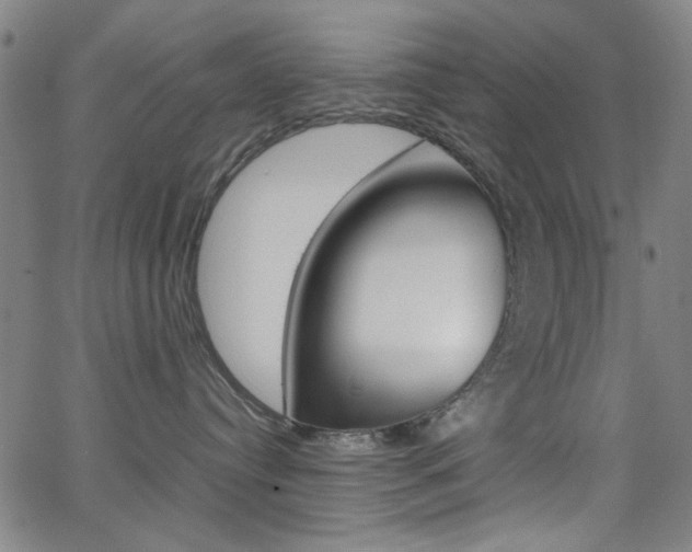 X0000064060384200601270940