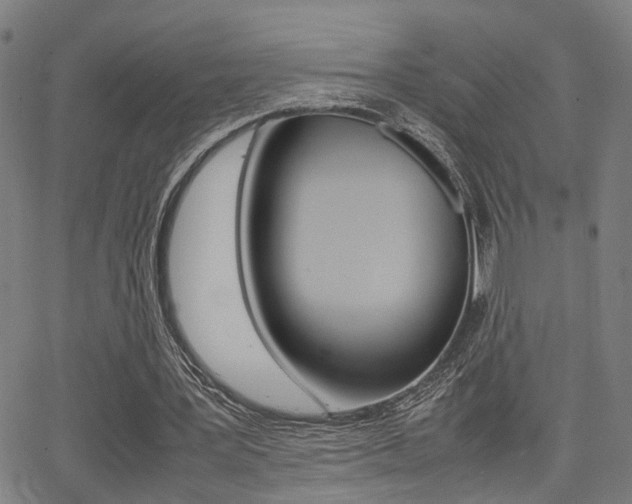 X0000064060387200601270939