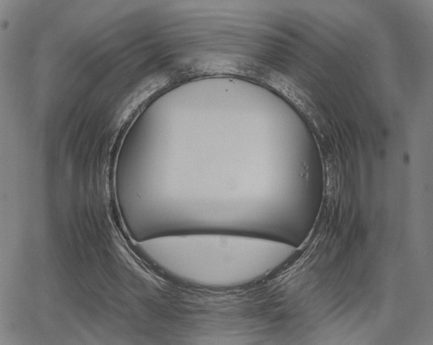X0000064060390200601270939