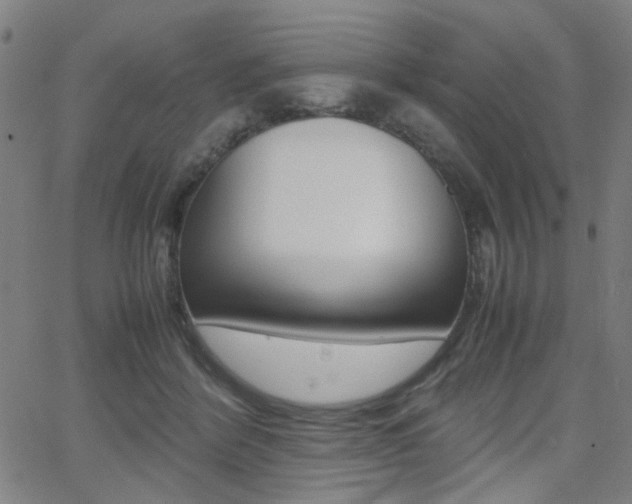 X0000064060412200601270938