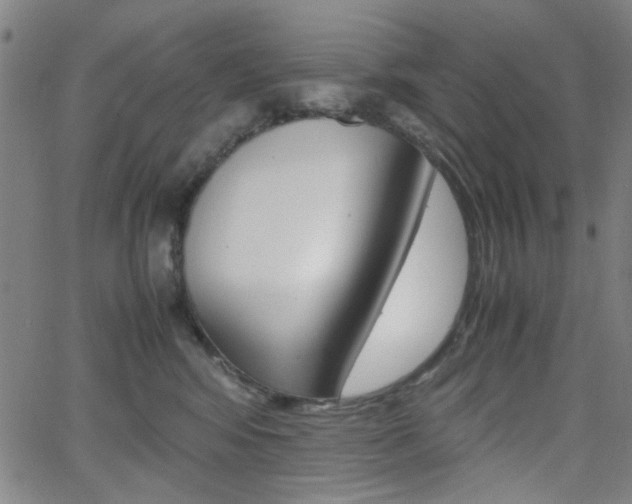 X0000064060424200601270938