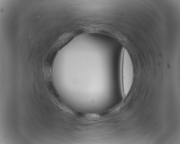 X0000064060429200601270938