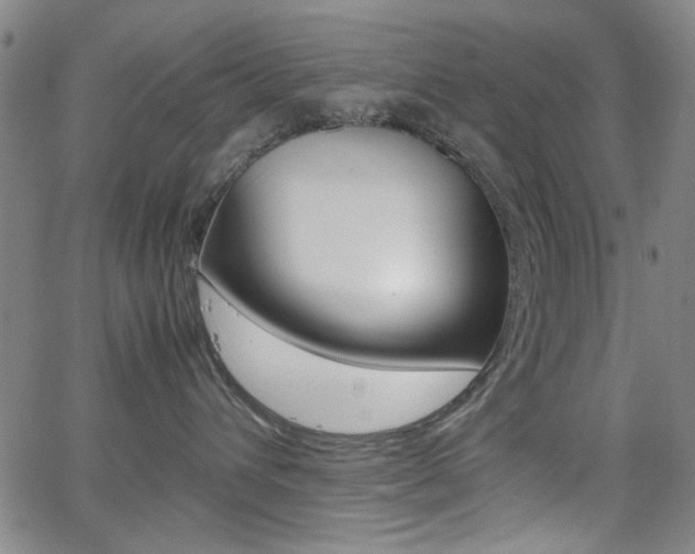 X0000064060432200601270938