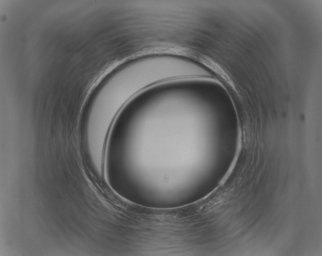 X0000064060436200601270937