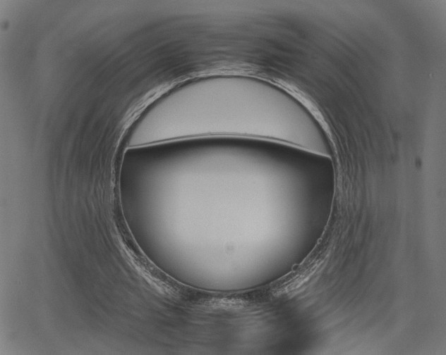 X0000064060437200601270937
