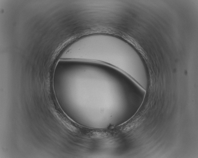 X0000064060442200601270937