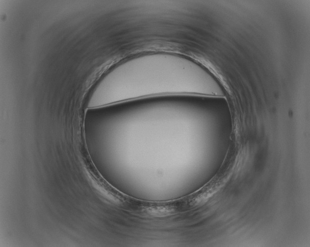 X0000064060445200601270937