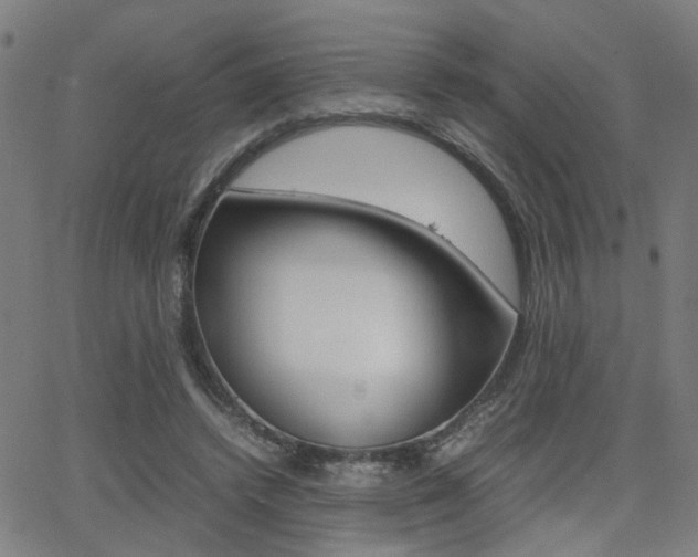 X0000064060448200601270937