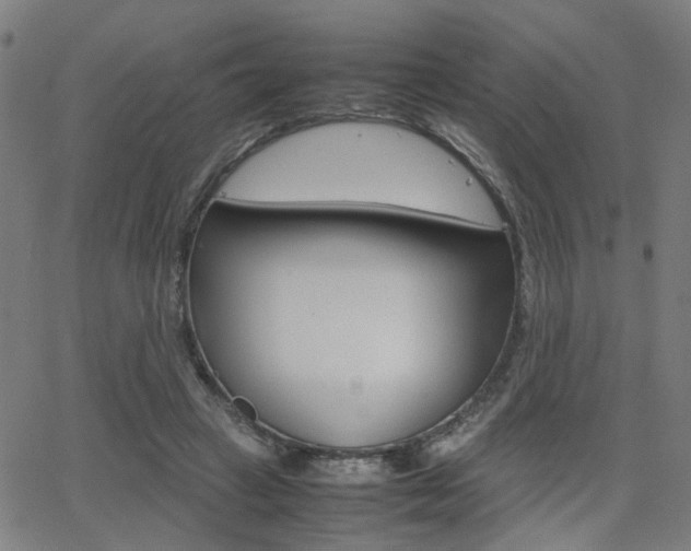 X0000064060449200601270938