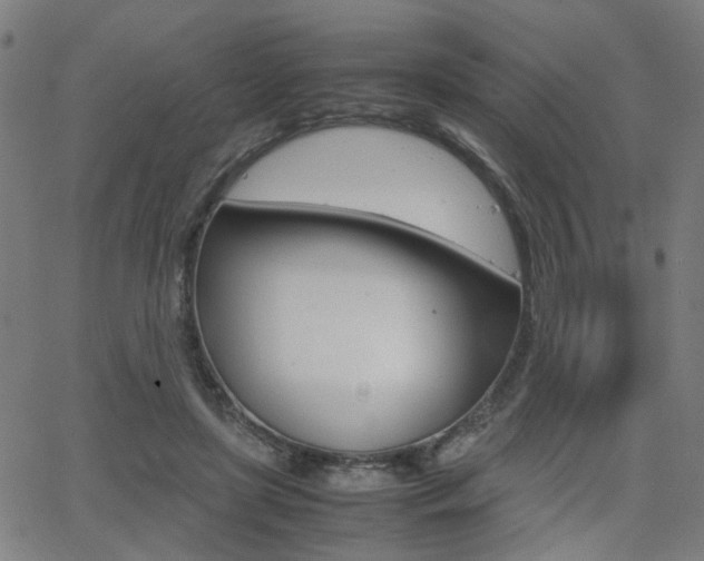 X0000064060451200601270938