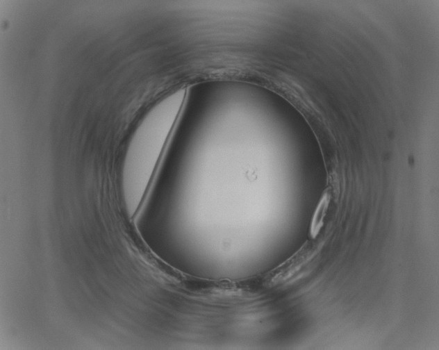 X0000064060458200601270938