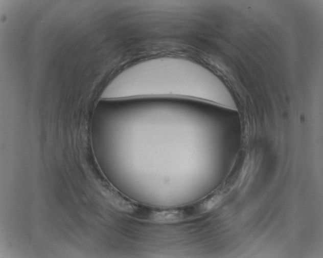 X0000064060461200601270938