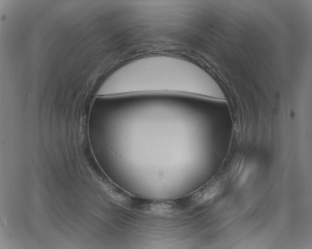 X0000064060462200601270938