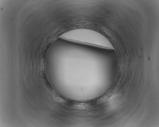 X0000064060467200601270938