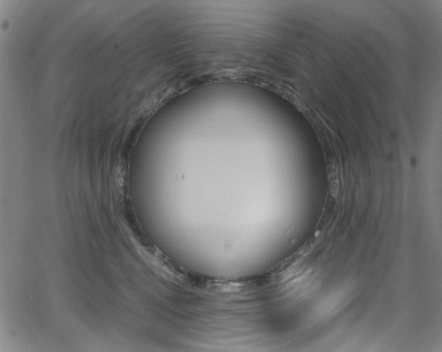 X0000064060472200601270938