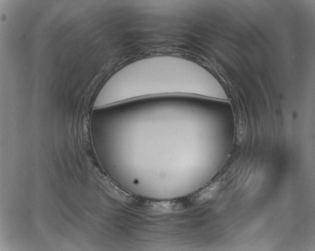 X0000064060473200601270938
