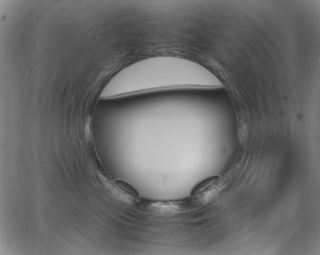X0000064060477200601270938