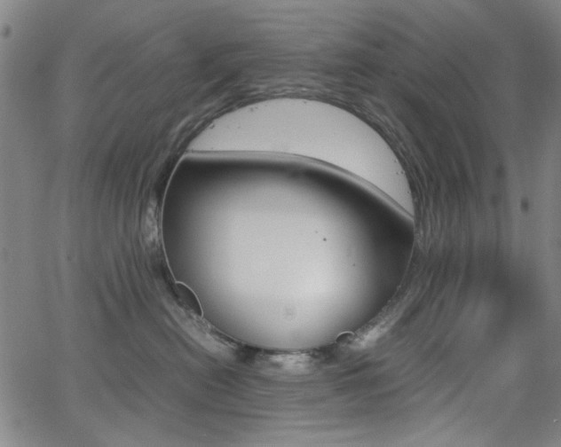 X0000064060478200601270938
