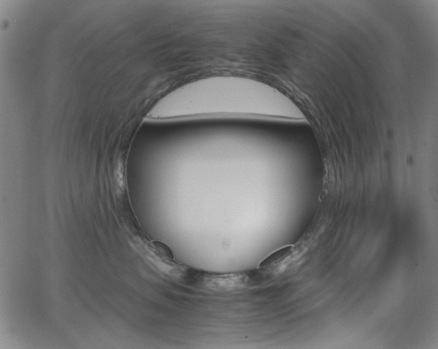 X0000064060479200601270938