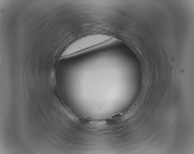 X0000064060480200601270938
