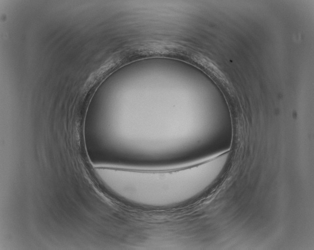 X0000064060489200601270937