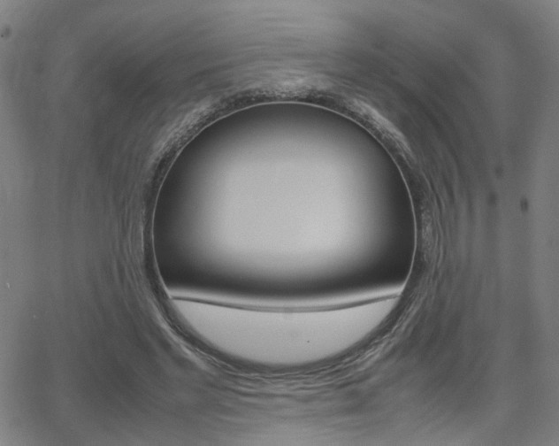 X0000064060493200601270937