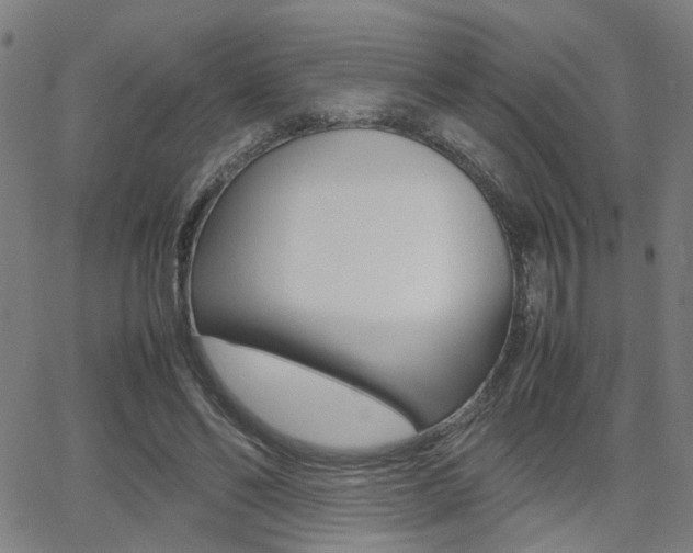 X0000064060494200601270937