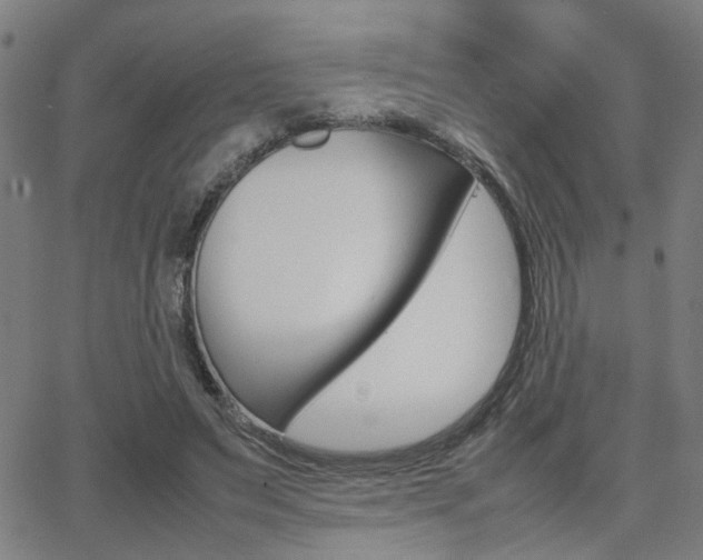 X0000064060495200601270937