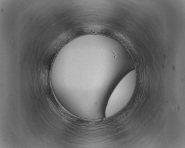 X0000064060498200601270937
