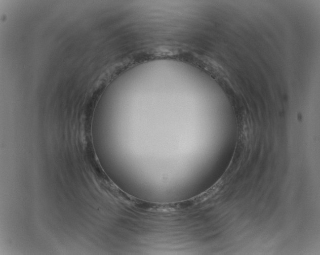 X0000064060512200601270937
