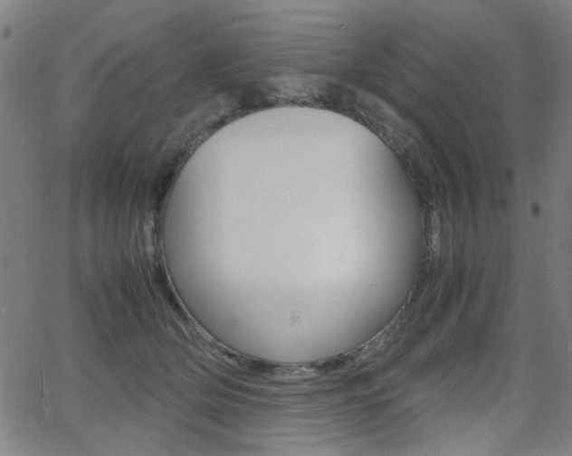 X0000064060514200601270937