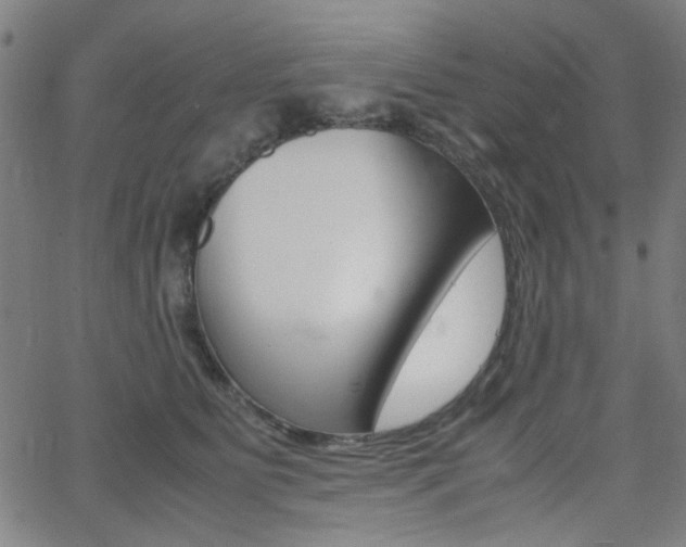 X0000064060515200601270937