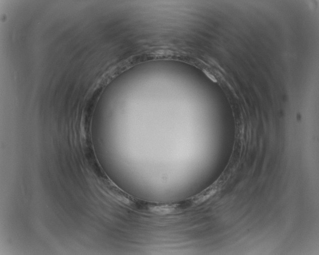 X0000064060516200601270937