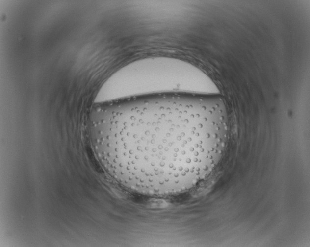 X0000064060519200601270937