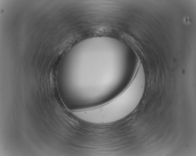 X0000064060520200601270937