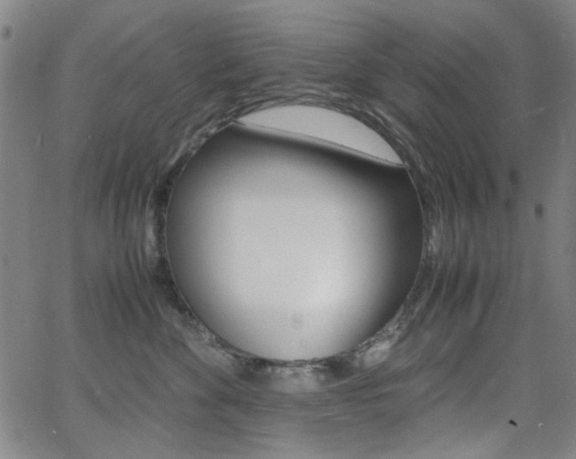X0000064060524200601270937