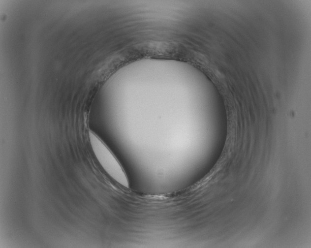 X0000064060528200601270936