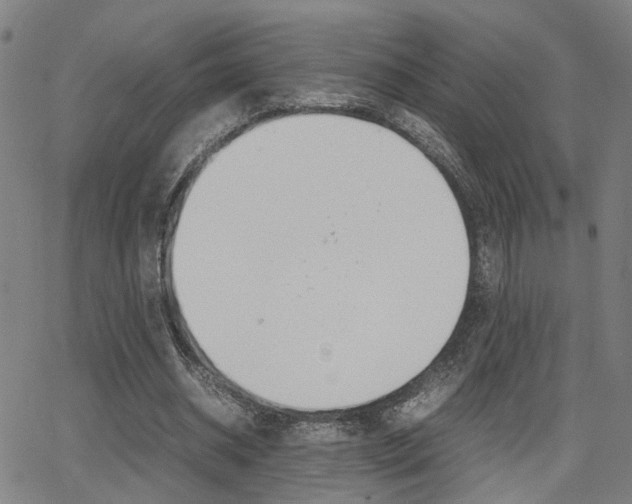 X0000064060534200601270936