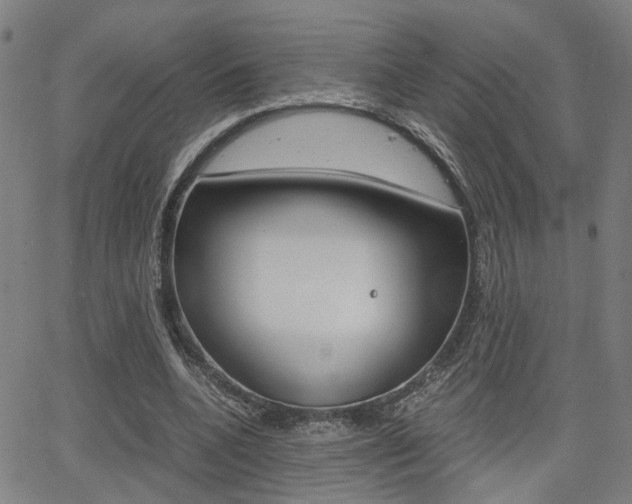 X0000064060536200601270936