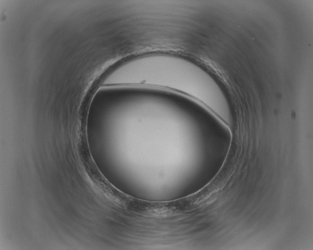 X0000064060540200601270936