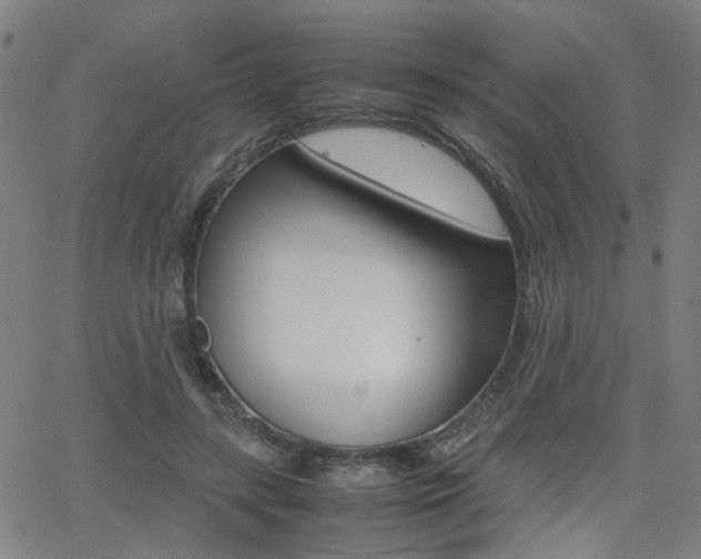 X0000064060547200601270936