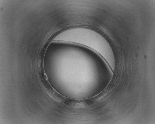 X0000064060548200601270936
