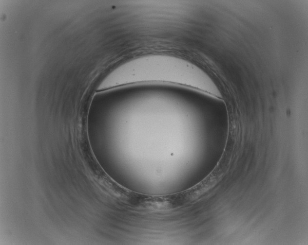 X0000064060552200601270936